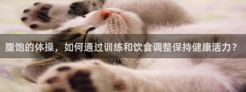 腹饱的体操，如何通过训练和饮食调整保持健康活力？