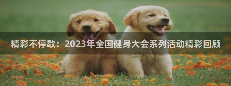 精彩不停歇：2023年全国健身大会系列活动精彩回顾