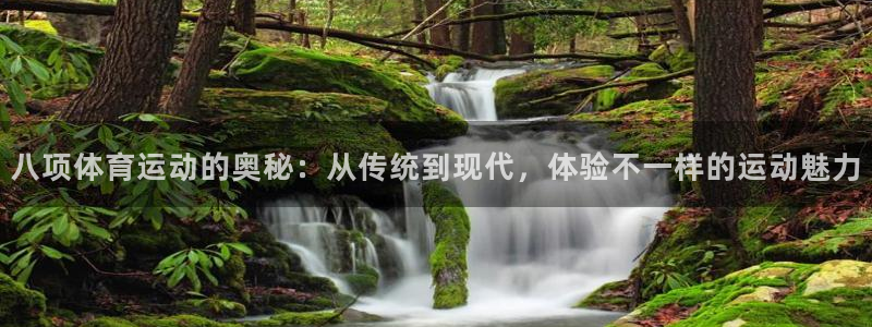 八项体育运动的奥秘：从传统到现代，体验不一样的运动魅力