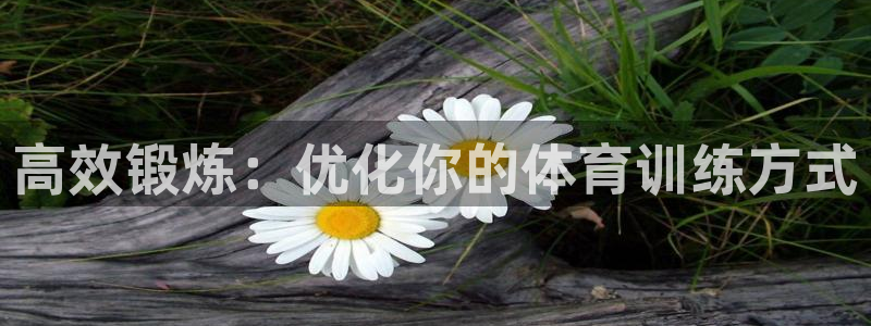 高效锻炼：优化你的体育训练方式