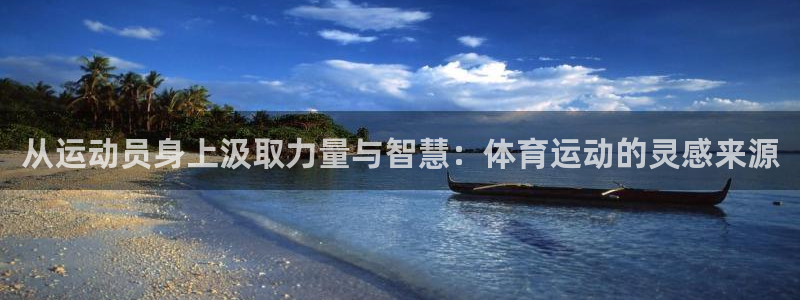 从运动员身上汲取力量与智慧：体育运动的灵感来源