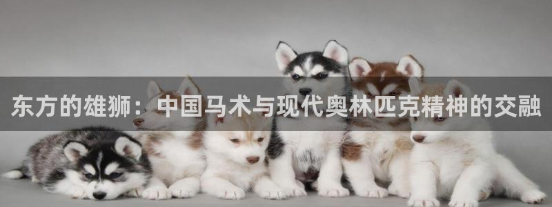 东方的雄狮：中国马术与现代奥林匹克精神的交融