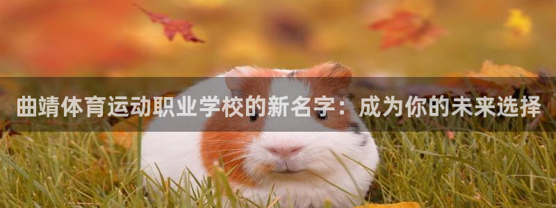 曲靖体育运动职业学校的新名字：成为你的未来选择