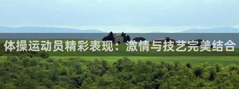 体操运动员精彩表现：激情与技艺完美结合